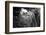 ¡Viva Mexico! B&W Collection - Ik-Kil Cenote-Philippe Hugonnard-Framed Photographic Print