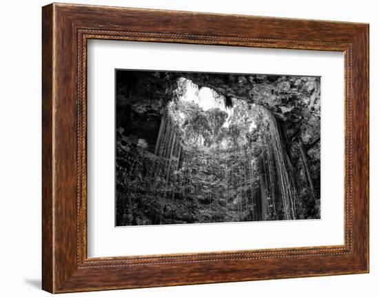 ¡Viva Mexico! B&W Collection - Ik-Kil Cenote-Philippe Hugonnard-Framed Photographic Print