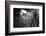 ¡Viva Mexico! B&W Collection - Ik-Kil Cenote-Philippe Hugonnard-Framed Photographic Print