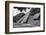 ¡Viva Mexico! B&W Collection - Mayan Temple of Inscriptions in Palenque III-Philippe Hugonnard-Framed Photographic Print