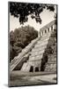 ¡Viva Mexico! B&W Collection - Mayan Temple of Inscriptions in Palenque VI-Philippe Hugonnard-Mounted Photographic Print