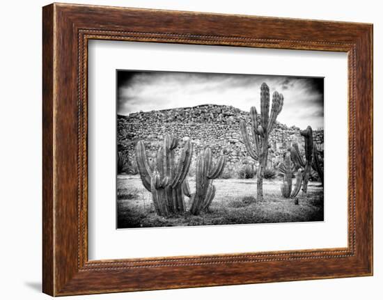 ¡Viva Mexico! B&W Collection - Mexican Cactus-Philippe Hugonnard-Framed Photographic Print