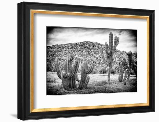 ¡Viva Mexico! B&W Collection - Mexican Cactus-Philippe Hugonnard-Framed Photographic Print