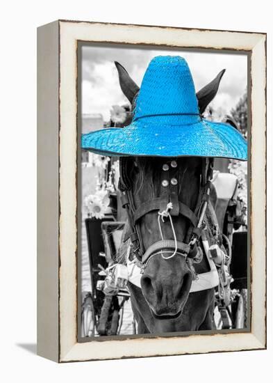 ¡Viva Mexico! B&W Collection - Portrait of Horse with Blue Hat-Philippe Hugonnard-Framed Premier Image Canvas