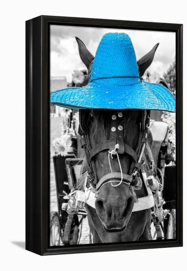 ¡Viva Mexico! B&W Collection - Portrait of Horse with Blue Hat-Philippe Hugonnard-Framed Premier Image Canvas