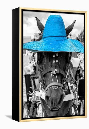 ¡Viva Mexico! B&W Collection - Portrait of Horse with Blue Hat-Philippe Hugonnard-Framed Premier Image Canvas