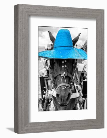 ¡Viva Mexico! B&W Collection - Portrait of Horse with Blue Hat-Philippe Hugonnard-Framed Photographic Print