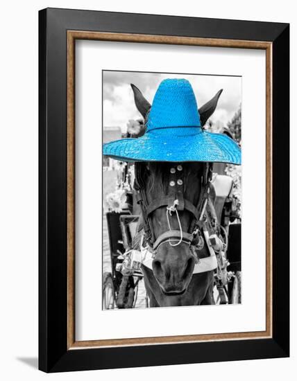 ¡Viva Mexico! B&W Collection - Portrait of Horse with Blue Hat-Philippe Hugonnard-Framed Photographic Print