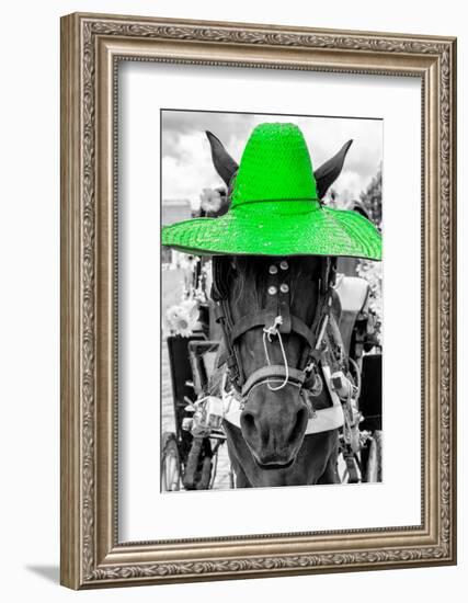 ¡Viva Mexico! B&W Collection - Portrait of Horse with Green Hat-Philippe Hugonnard-Framed Photographic Print