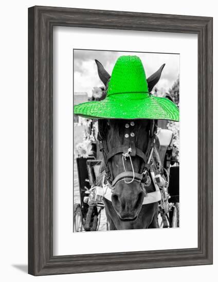 ¡Viva Mexico! B&W Collection - Portrait of Horse with Green Hat-Philippe Hugonnard-Framed Photographic Print