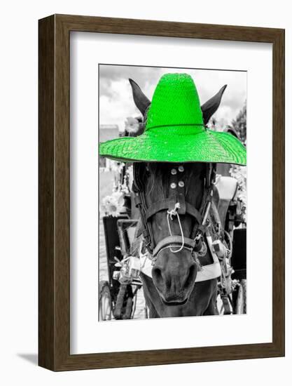 ¡Viva Mexico! B&W Collection - Portrait of Horse with Green Hat-Philippe Hugonnard-Framed Photographic Print