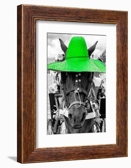 ¡Viva Mexico! B&W Collection - Portrait of Horse with Green Hat-Philippe Hugonnard-Framed Photographic Print