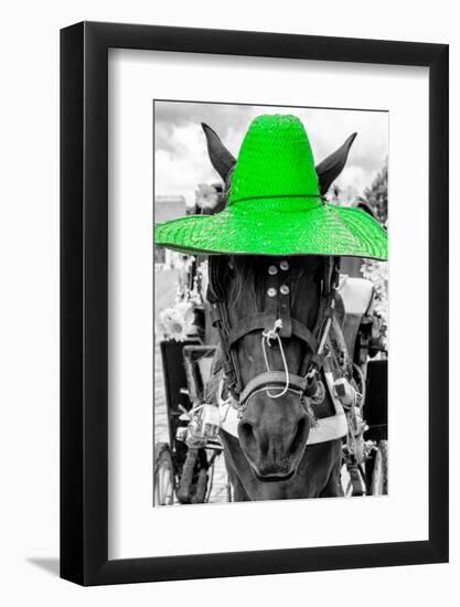 ¡Viva Mexico! B&W Collection - Portrait of Horse with Green Hat-Philippe Hugonnard-Framed Photographic Print