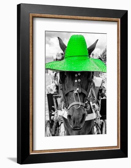 ¡Viva Mexico! B&W Collection - Portrait of Horse with Green Hat-Philippe Hugonnard-Framed Photographic Print