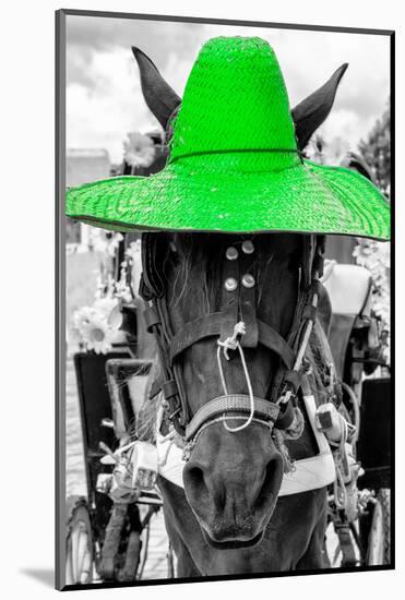 ¡Viva Mexico! B&W Collection - Portrait of Horse with Green Hat-Philippe Hugonnard-Mounted Photographic Print