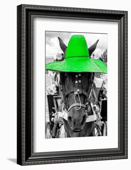 ¡Viva Mexico! B&W Collection - Portrait of Horse with Green Hat-Philippe Hugonnard-Framed Photographic Print