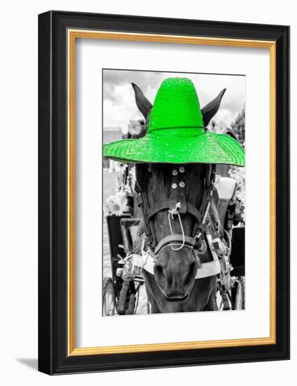 ¡Viva Mexico! B&W Collection - Portrait of Horse with Green Hat-Philippe Hugonnard-Framed Photographic Print