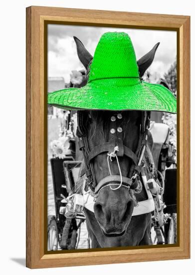 ¡Viva Mexico! B&W Collection - Portrait of Horse with Green Hat-Philippe Hugonnard-Framed Premier Image Canvas