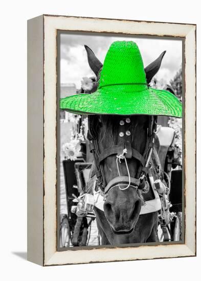 ¡Viva Mexico! B&W Collection - Portrait of Horse with Green Hat-Philippe Hugonnard-Framed Premier Image Canvas