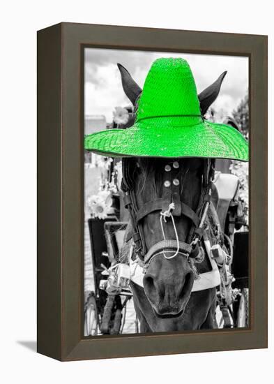 ¡Viva Mexico! B&W Collection - Portrait of Horse with Green Hat-Philippe Hugonnard-Framed Premier Image Canvas