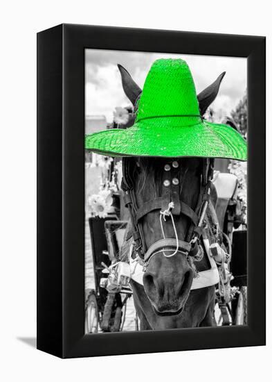 ¡Viva Mexico! B&W Collection - Portrait of Horse with Green Hat-Philippe Hugonnard-Framed Premier Image Canvas