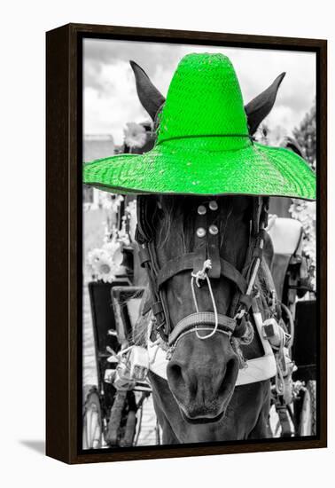 ¡Viva Mexico! B&W Collection - Portrait of Horse with Green Hat-Philippe Hugonnard-Framed Premier Image Canvas