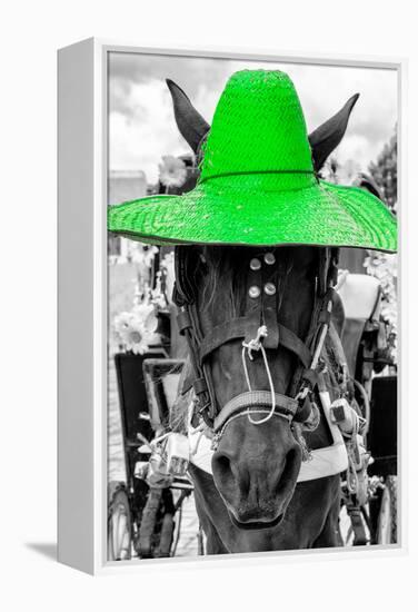 ¡Viva Mexico! B&W Collection - Portrait of Horse with Green Hat-Philippe Hugonnard-Framed Premier Image Canvas