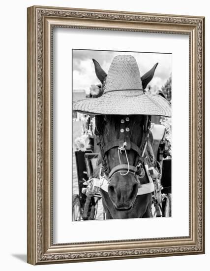 ¡Viva Mexico! B&W Collection - Portrait of Horse with Hat II-Philippe Hugonnard-Framed Photographic Print