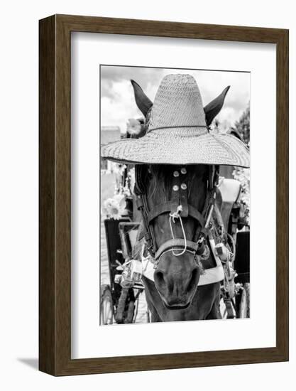 ¡Viva Mexico! B&W Collection - Portrait of Horse with Hat II-Philippe Hugonnard-Framed Photographic Print