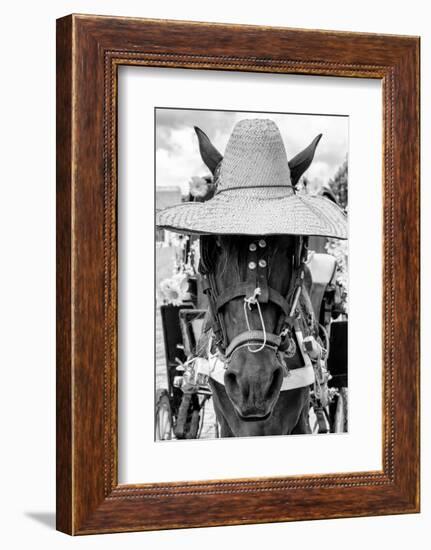 ¡Viva Mexico! B&W Collection - Portrait of Horse with Hat II-Philippe Hugonnard-Framed Photographic Print