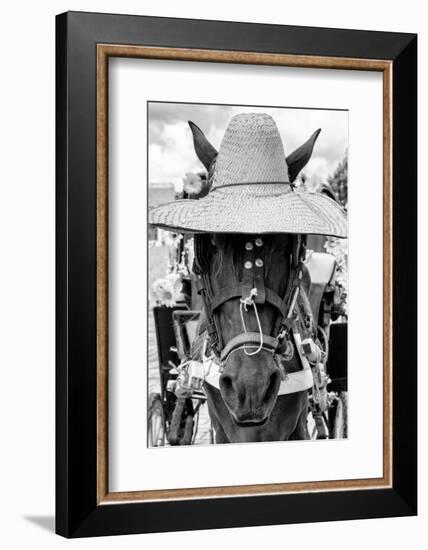 ¡Viva Mexico! B&W Collection - Portrait of Horse with Hat II-Philippe Hugonnard-Framed Photographic Print