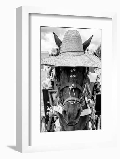 ¡Viva Mexico! B&W Collection - Portrait of Horse with Hat II-Philippe Hugonnard-Framed Photographic Print