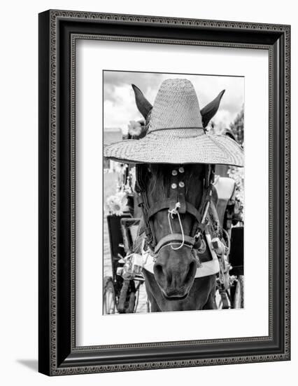 ¡Viva Mexico! B&W Collection - Portrait of Horse with Hat II-Philippe Hugonnard-Framed Photographic Print