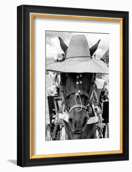 ¡Viva Mexico! B&W Collection - Portrait of Horse with Hat II-Philippe Hugonnard-Framed Photographic Print