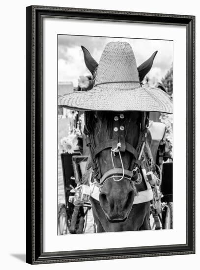 ¡Viva Mexico! B&W Collection - Portrait of Horse with Hat II-Philippe Hugonnard-Framed Photographic Print