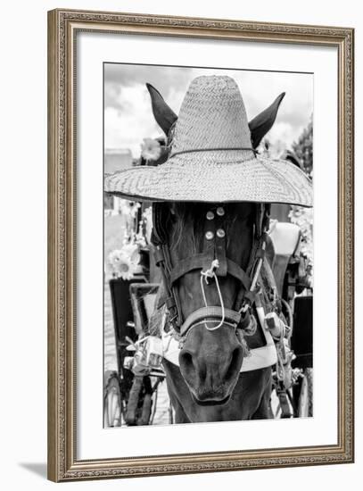 ¡Viva Mexico! B&W Collection - Portrait of Horse with Hat II-Philippe Hugonnard-Framed Photographic Print