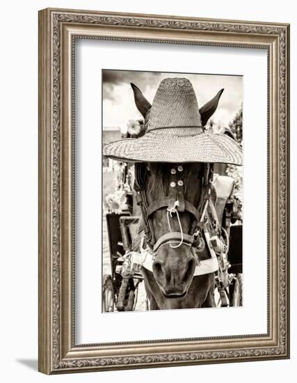 ¡Viva Mexico! B&W Collection - Portrait of Horse with Hat-Philippe Hugonnard-Framed Photographic Print