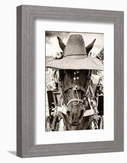 ¡Viva Mexico! B&W Collection - Portrait of Horse with Hat-Philippe Hugonnard-Framed Photographic Print