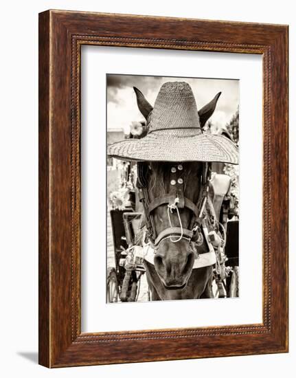 ¡Viva Mexico! B&W Collection - Portrait of Horse with Hat-Philippe Hugonnard-Framed Photographic Print