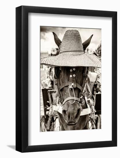 ¡Viva Mexico! B&W Collection - Portrait of Horse with Hat-Philippe Hugonnard-Framed Photographic Print