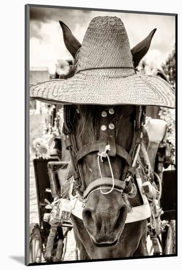 ¡Viva Mexico! B&W Collection - Portrait of Horse with Hat-Philippe Hugonnard-Mounted Photographic Print