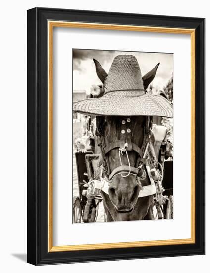 ¡Viva Mexico! B&W Collection - Portrait of Horse with Hat-Philippe Hugonnard-Framed Photographic Print