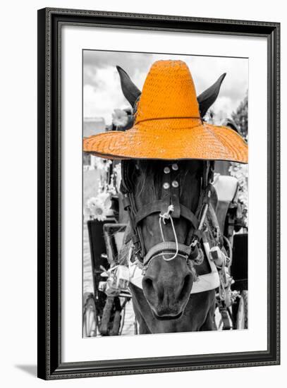 ¡Viva Mexico! B&W Collection - Portrait of Horse with Light Orange Hat-Philippe Hugonnard-Framed Photographic Print