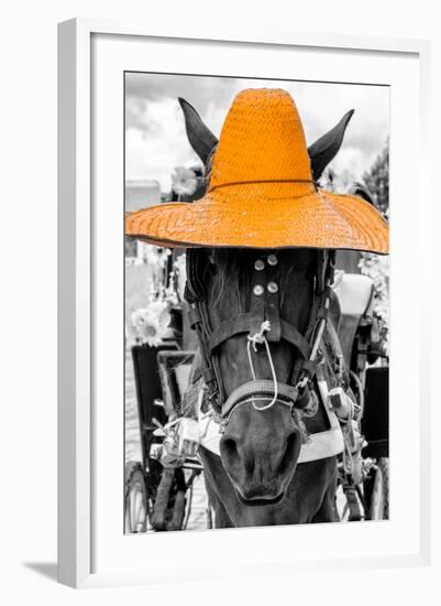 ¡Viva Mexico! B&W Collection - Portrait of Horse with Light Orange Hat-Philippe Hugonnard-Framed Photographic Print