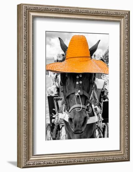 ¡Viva Mexico! B&W Collection - Portrait of Horse with Light Orange Hat-Philippe Hugonnard-Framed Photographic Print