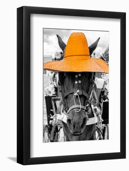 ¡Viva Mexico! B&W Collection - Portrait of Horse with Light Orange Hat-Philippe Hugonnard-Framed Photographic Print