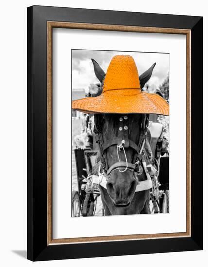 ¡Viva Mexico! B&W Collection - Portrait of Horse with Light Orange Hat-Philippe Hugonnard-Framed Photographic Print