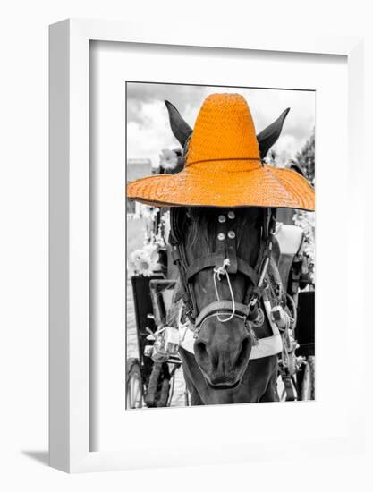 ¡Viva Mexico! B&W Collection - Portrait of Horse with Light Orange Hat-Philippe Hugonnard-Framed Photographic Print