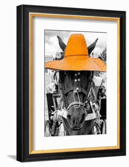 ¡Viva Mexico! B&W Collection - Portrait of Horse with Light Orange Hat-Philippe Hugonnard-Framed Photographic Print