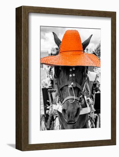 ¡Viva Mexico! B&W Collection - Portrait of Horse with Orange Hat-Philippe Hugonnard-Framed Photographic Print